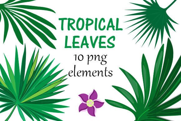 Exotic Leaves and Flowers Clipart: A Versatile Design Resource for Modern Creatives